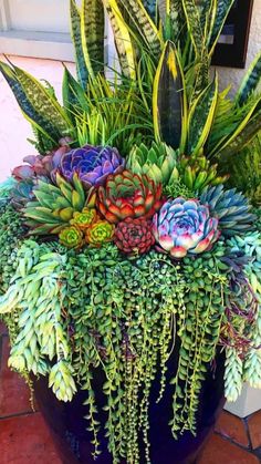 an arrangement of succulents and plants in a blue pot