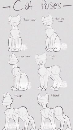 how to draw a cartoon cat with different poses and body shapes, including the legs