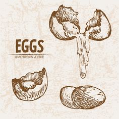 an eggplant and other food items drawn by hand