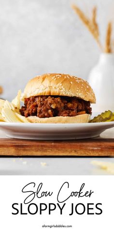 slow cooker sloppy joes on a white plate