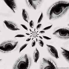 black and white photograph of an eye with long lashes in the shape of a flower