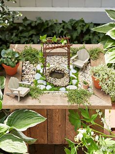 a small garden with rocks and plants in the center is displayed on a wooden table surrounded by potted plants