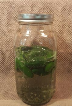 a jar filled with green peppers sitting on top of a table