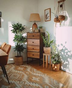 a living room filled with lots of plants next to a table and chair on top of a wooden floor