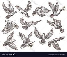 hand drawn birds flying in the air stock photo - image 349874