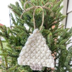 a crocheted christmas ornament hanging from a pine tree in front of a house