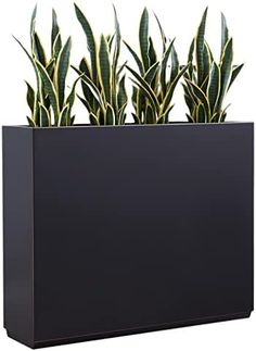 a black planter with green plants in it