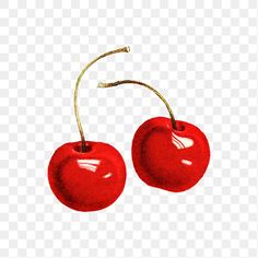 two cherries on a white background