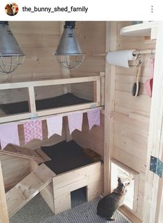 a cat sitting on the floor in a wooden house