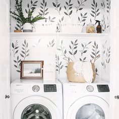 a washer and dryer in a small room with wallpaper on the walls