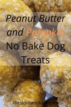 peanut butter and pumpkin no bake dog treats on a plate with text overlay