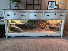 a fish tank sitting on top of a white dresser