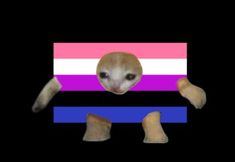 an animal with the flag of thailand on it's head and legs, standing in front of a black background