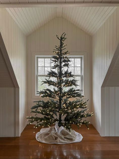 Stay ahead of the holiday style curve with the latest Christmas tree trends that add contemporary flair to your decor. Christmas Tree Trends, Spruce Christmas Tree, Fiddle Leaf Fig Tree