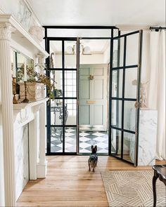 a dog standing in the middle of a living room next to a fireplace and door