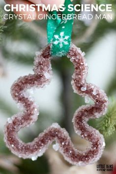 a christmas ornament hanging from a tree with the words, christmas science crystal gingerbread man