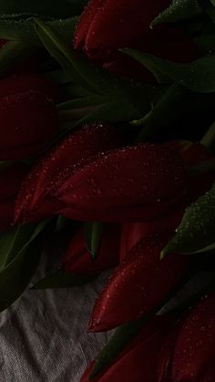 red tulips with water droplets on them sitting on a white cloth covered tablecloth