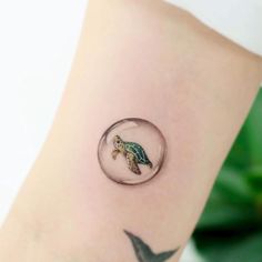 a small turtle in a glass ball tattoo on the right side of the arm and behind it is a bird