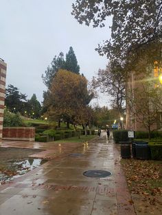 a wet sidewalk with people walking on it next to trees and bushes in the rain