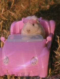 a hamster in a pink toy car on the grass