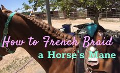 a horse with braids on it's bridle and the words how to french braid a horse's mane