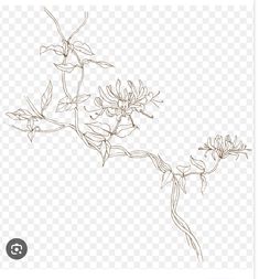 a line drawing of flowers on a branch with leaves and stems in the foreground