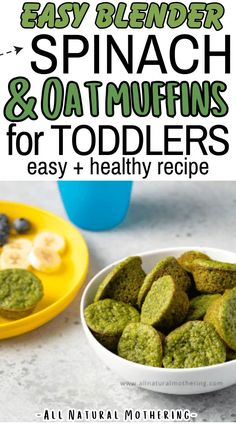 easy blender spinach and oat muffins for toddlers to make