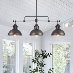 three lights are hanging from the ceiling above a dining room table with chairs and a potted plant