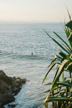 a person on a surfboard in the water