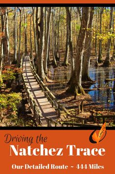 the cover of driving the natchez trace, featuring a wooden bridge and trees