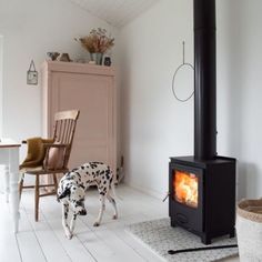 a dog is standing in front of a wood stove