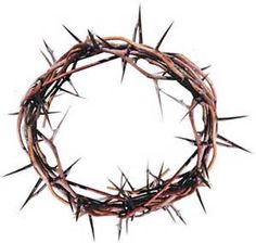 a crown of thorns is shown against a white background