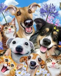 a group of dogs and cats with a happy birthday card in front of the camera