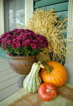 some pumpkins and gourds are sitting on the front door steps with purple flowers