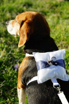 a dog wearing a wedding ring pillow on it's back, in the grass