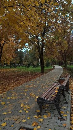 a park bench sitting on top of a sidewalk covered in leaves