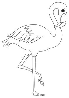 a flamingo bird standing on one leg