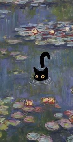 a black cat floating on top of water lilies