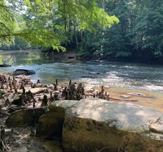 a river running through a forest filled with lots of rocks and trees in the background