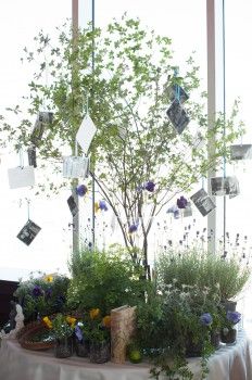 a table topped with lots of plants and pictures hanging from it's sides in front of a window