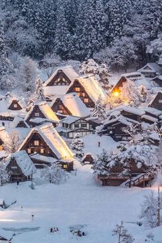 a snow covered village is lit up at night