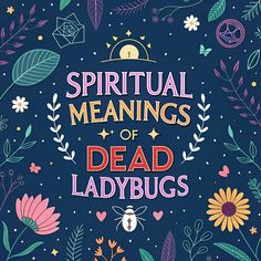 Wisdom-filled : Have you ever found a tiny, motionless ladybug and wondered what it might mean? These small, spotted insects are often seen as lucky charms when they'...