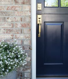 a blue front door with a potted plant next to it and brick wall in the background