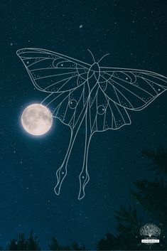 a drawing of a butterfly flying in the night sky with a full moon behind it