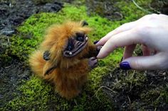 a stuffed animal being held by someone's hand on top of green moss covered ground