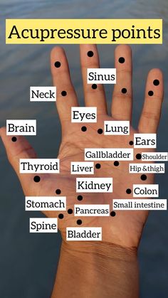 Yogacharya Ankit kukreti | Acupressure points (all organs) . . . . . . . . . . . #yoga #acupressure #point #press #daily #organs #hand #yogalove #ﬁtness #viral | Instagram Hand Acupressure Points, Accupunture Points Acupuncture, Hand Pressure Points, Body Pressure Points, Reflexology Points, Acupressure Point