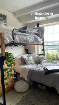 a dorm room with bunk beds, plants and pictures on the wall above it that reads college dorm inspo