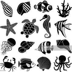 sea animals and fish silhouettes on white background stock photo getty images black bedroom furniture sets