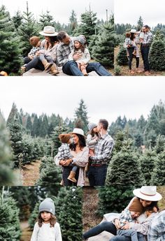 a collage of people in the middle of a christmas tree farm with many trees