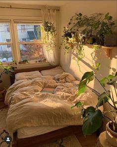 an unmade bed with plants on the windowsill